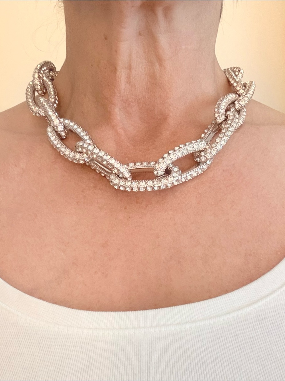 J.Crew NWT Crystal Pave Link Necklace - Silver Tone